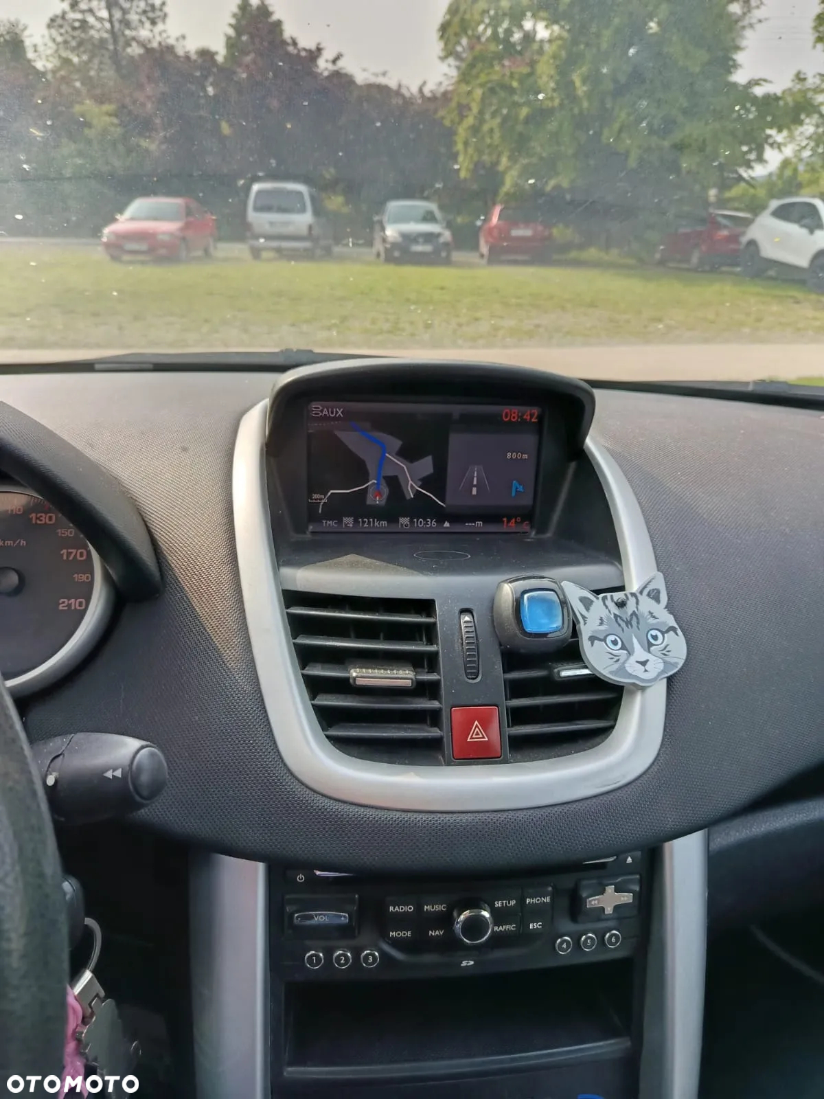 Peugeot 207 - 29