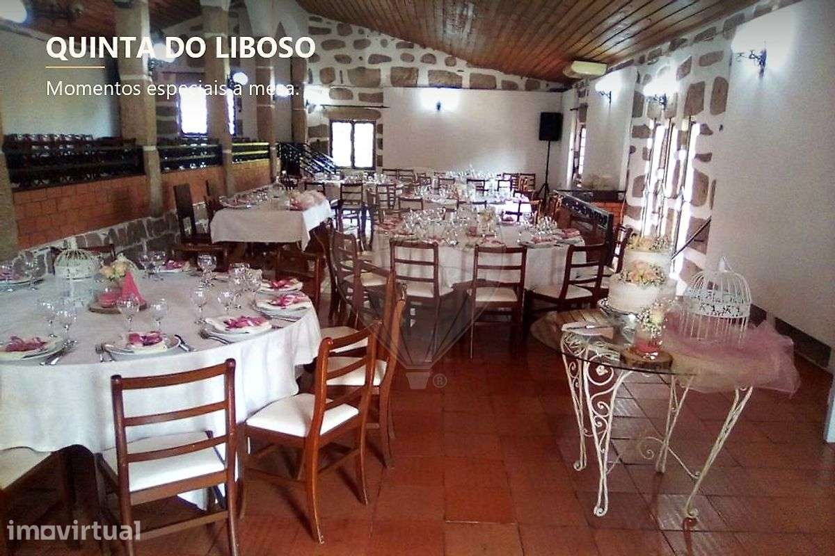 Quinta T4 para venda - Grande imagem: 5/16