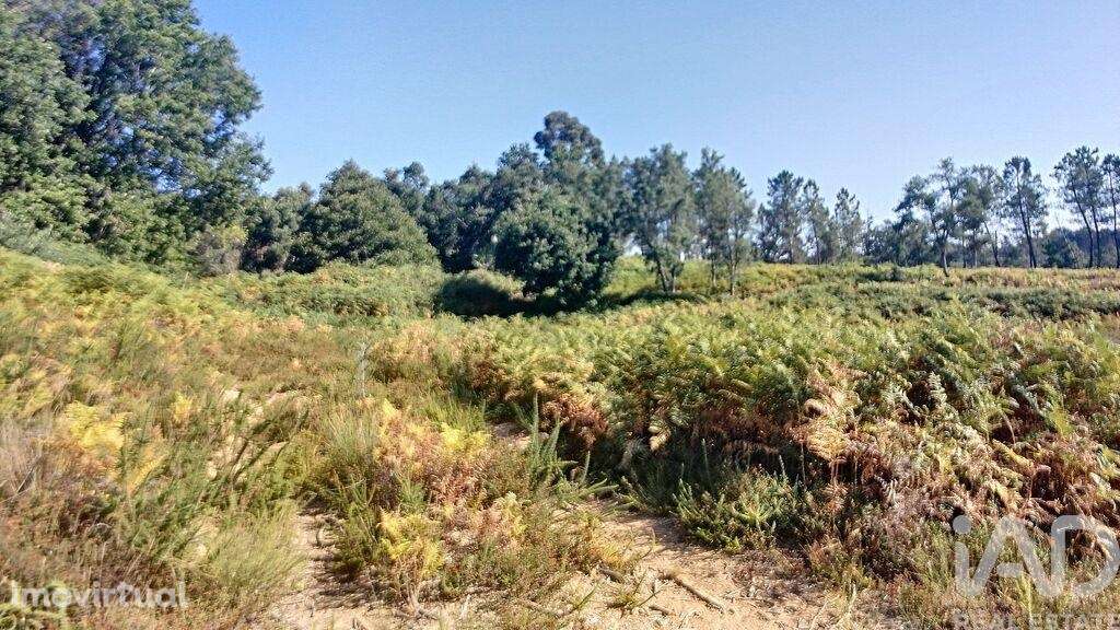 Casa de Campo em Pedrógão Grande de 91,00 m2 - Grande imagem: 4/12