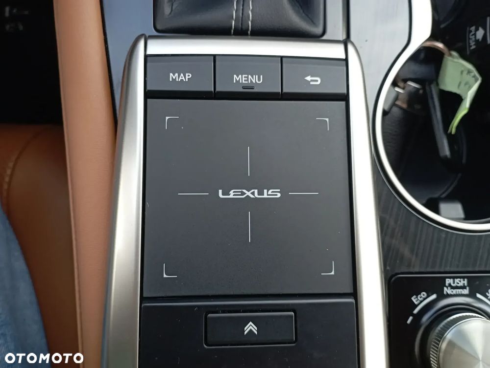 Lexus RX 300 Business Edition + - 17