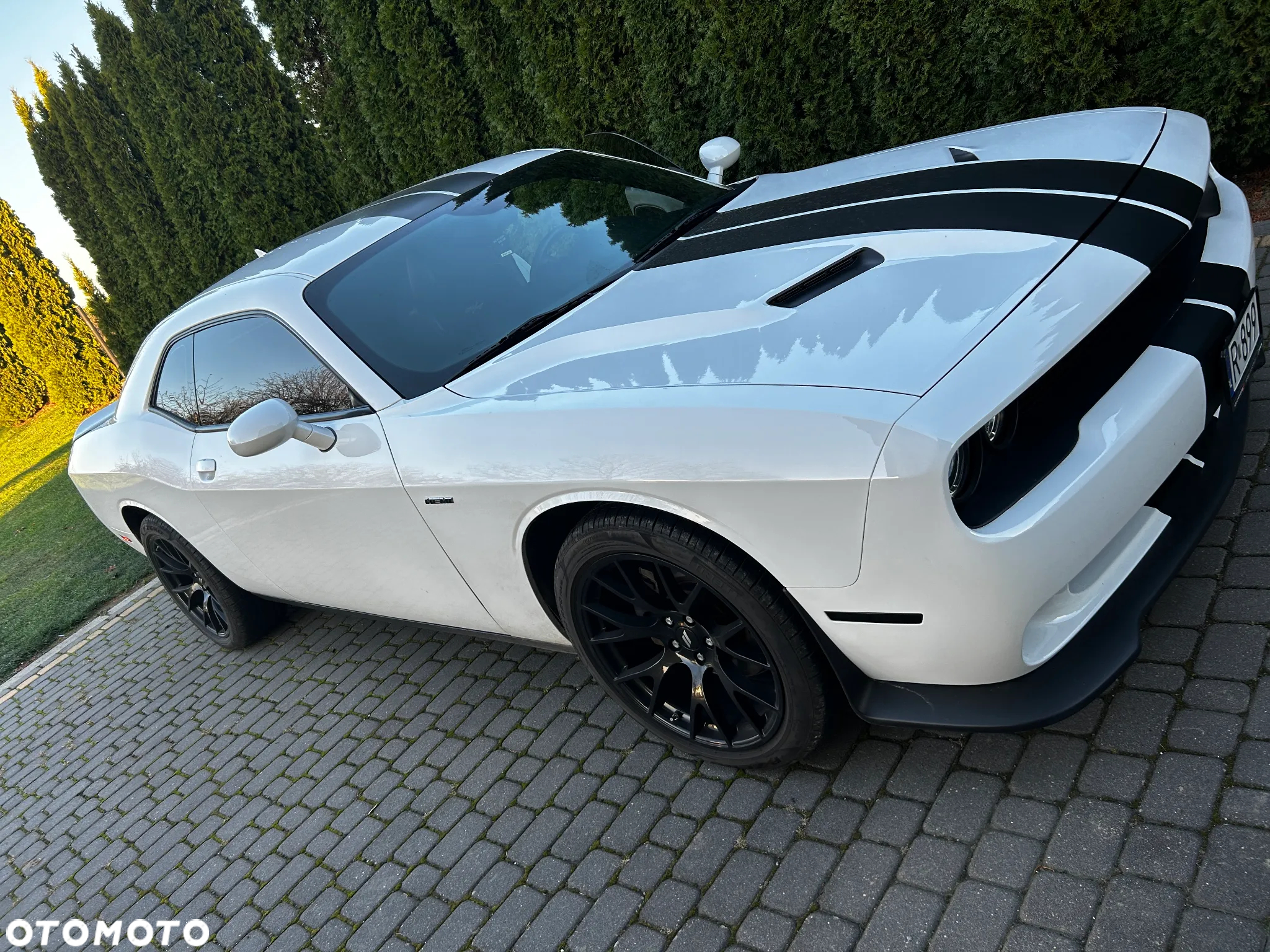 Dodge Challenger Automatik R/T Plus - 17