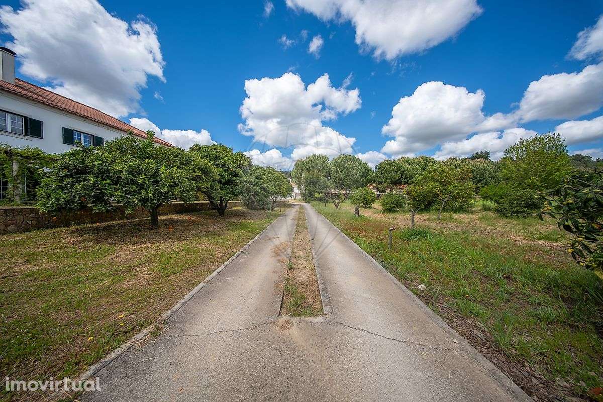 Quinta T5 para venda - Grande imagem: 5/44