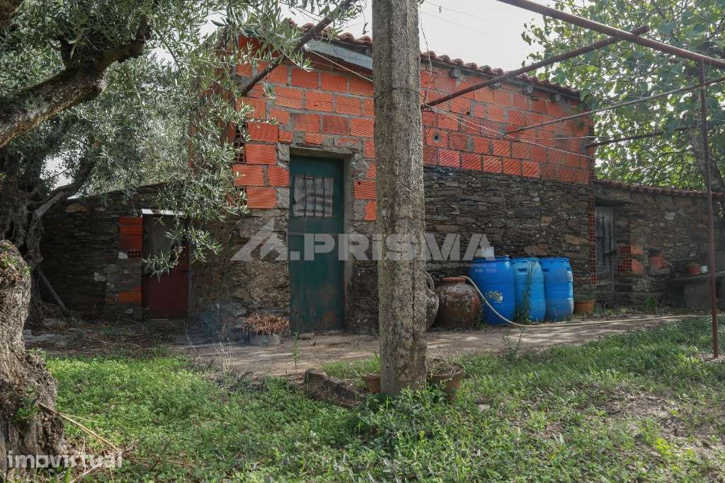 Terreno Rústico para venda em Amarelos, Sarnadas de Ródão - Grande imagem: 2/16