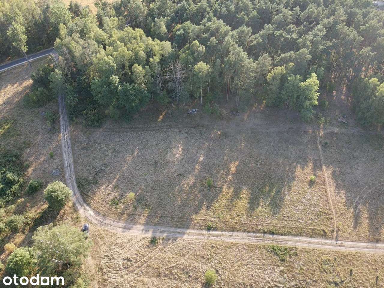 Działka budowlana 0.49 ha Droszków przy lesie MPZP - Pełny obrazek: 2/12