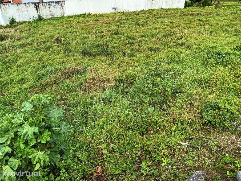 Terreno para construção de moradia na Vista Alegre - Ílhavo - Grande imagem: 4/6