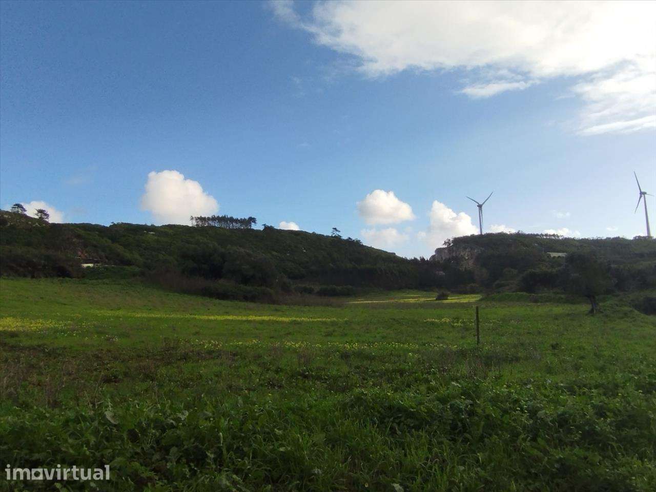 Terreno em Lourinhã, São Bartolomeu Galegos - Grande imagem: 2/12