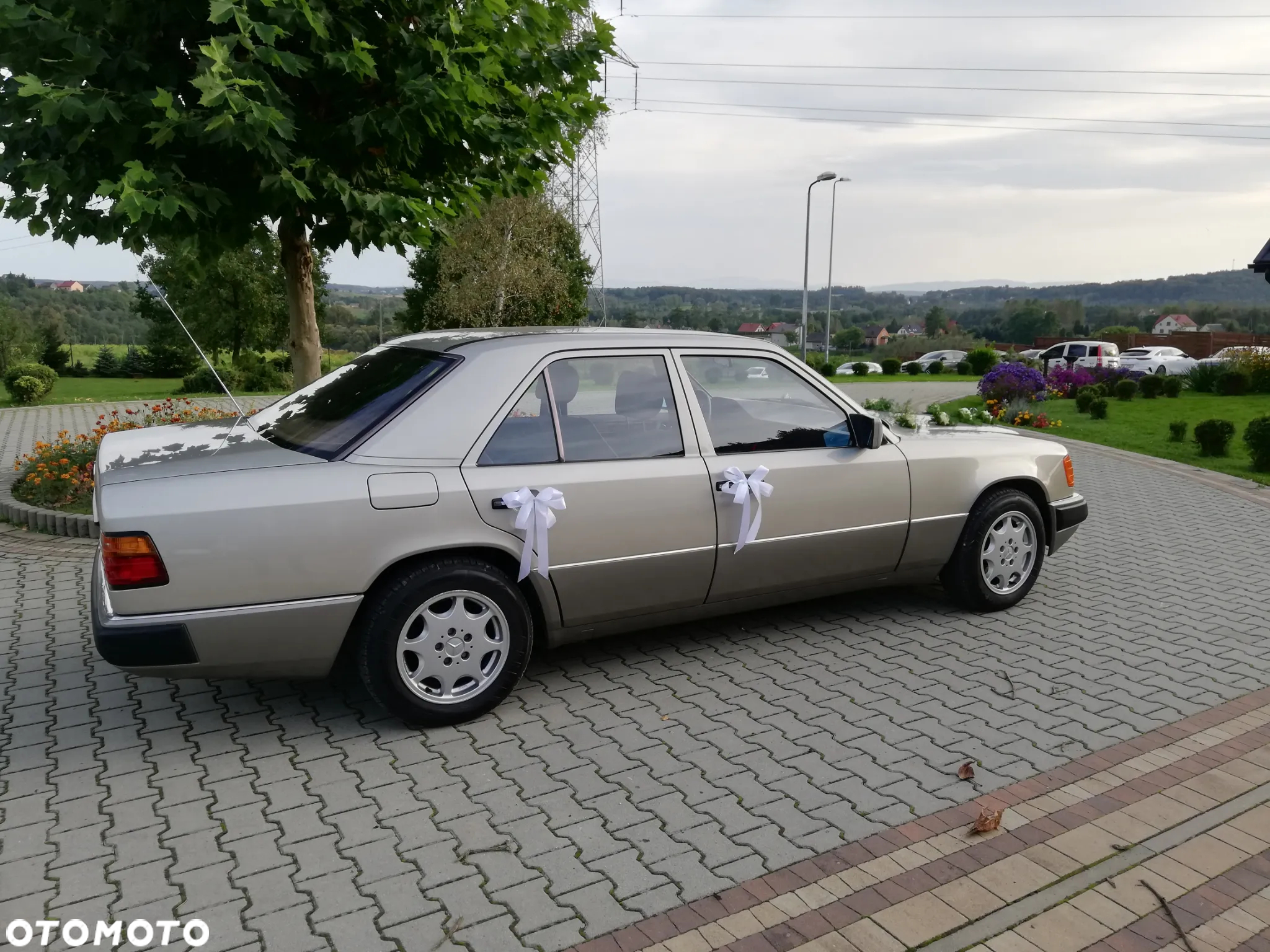 Mercedes-Benz W124 (1984-1993) - 10