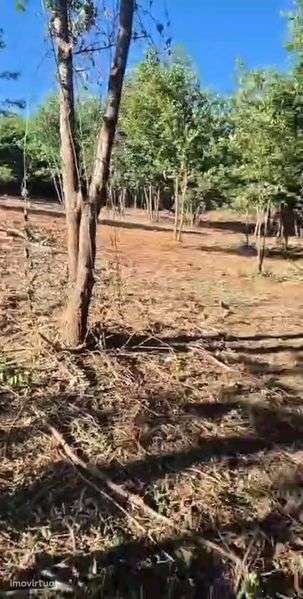 Terreno com casa em ruinas - Grande imagem: 2/4