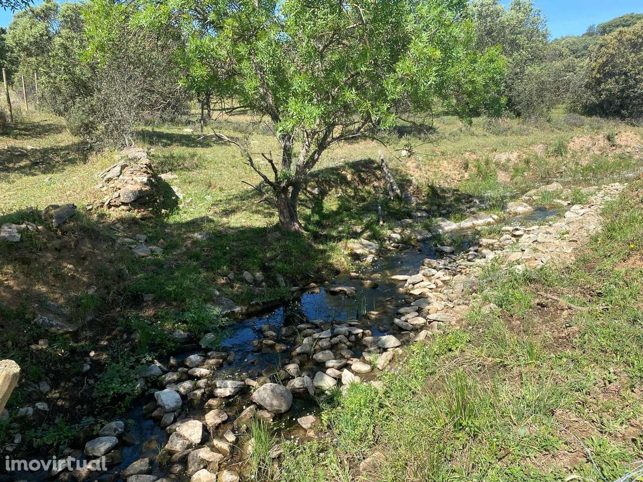 Terreno Rústico  Venda em Terrugem e Vila Boim,Elvas - Grande imagem: 2/9
