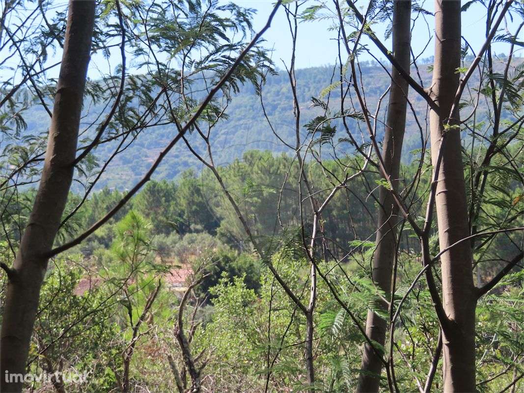 Quinta T2 para venda - Grande imagem: 3/50