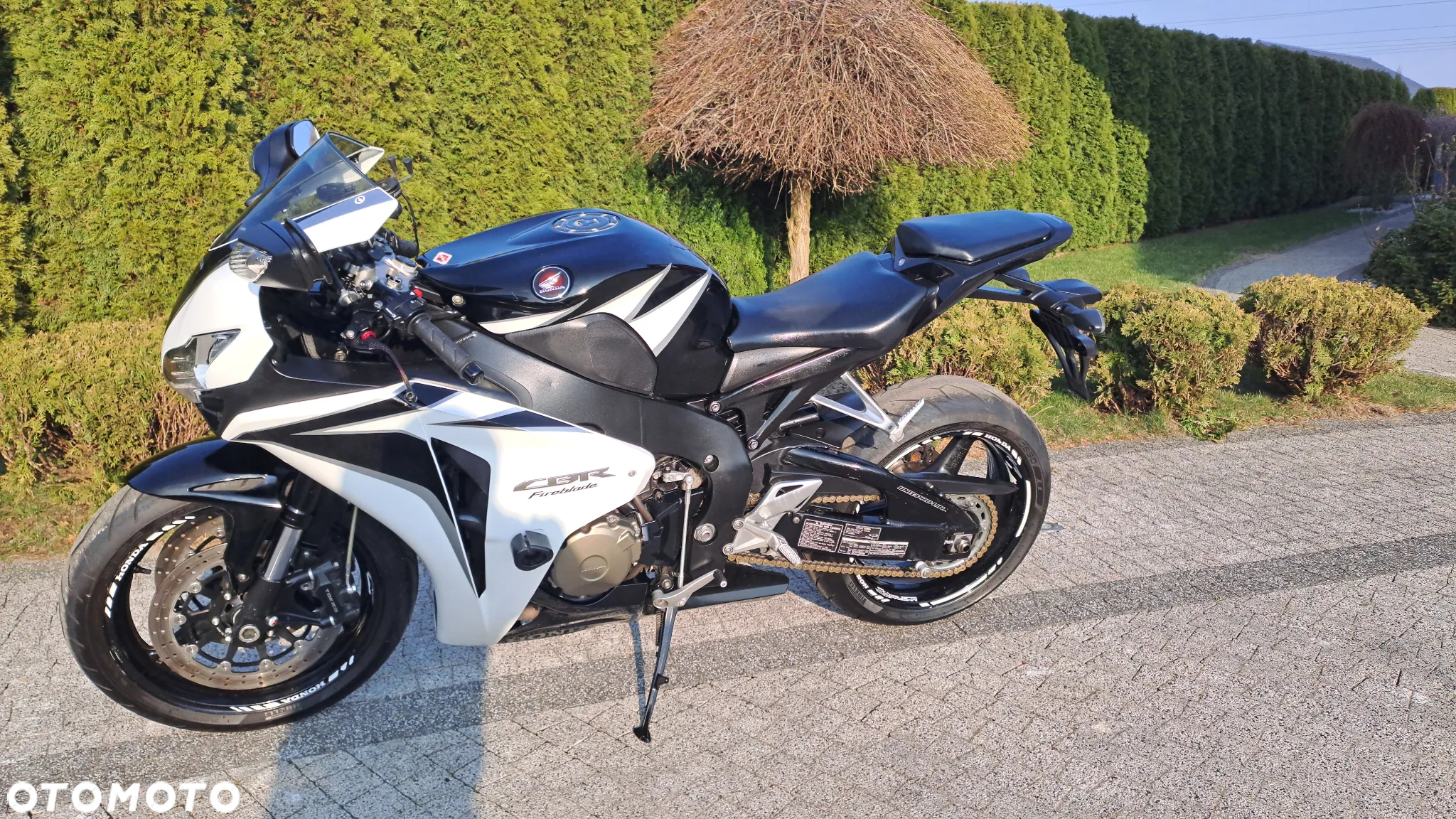 Honda CBR - 5