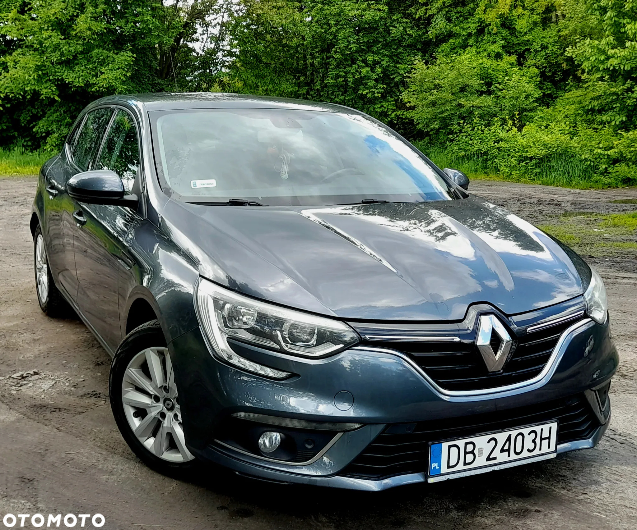 Renault Megane 1.2 Energy TCe Limited - 6