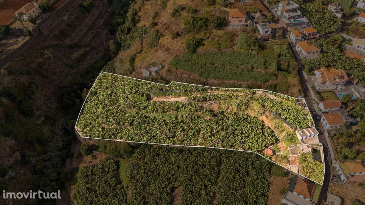 Terreno com 7944m2 - Ponta do Sol - Grande imagem: 3/19