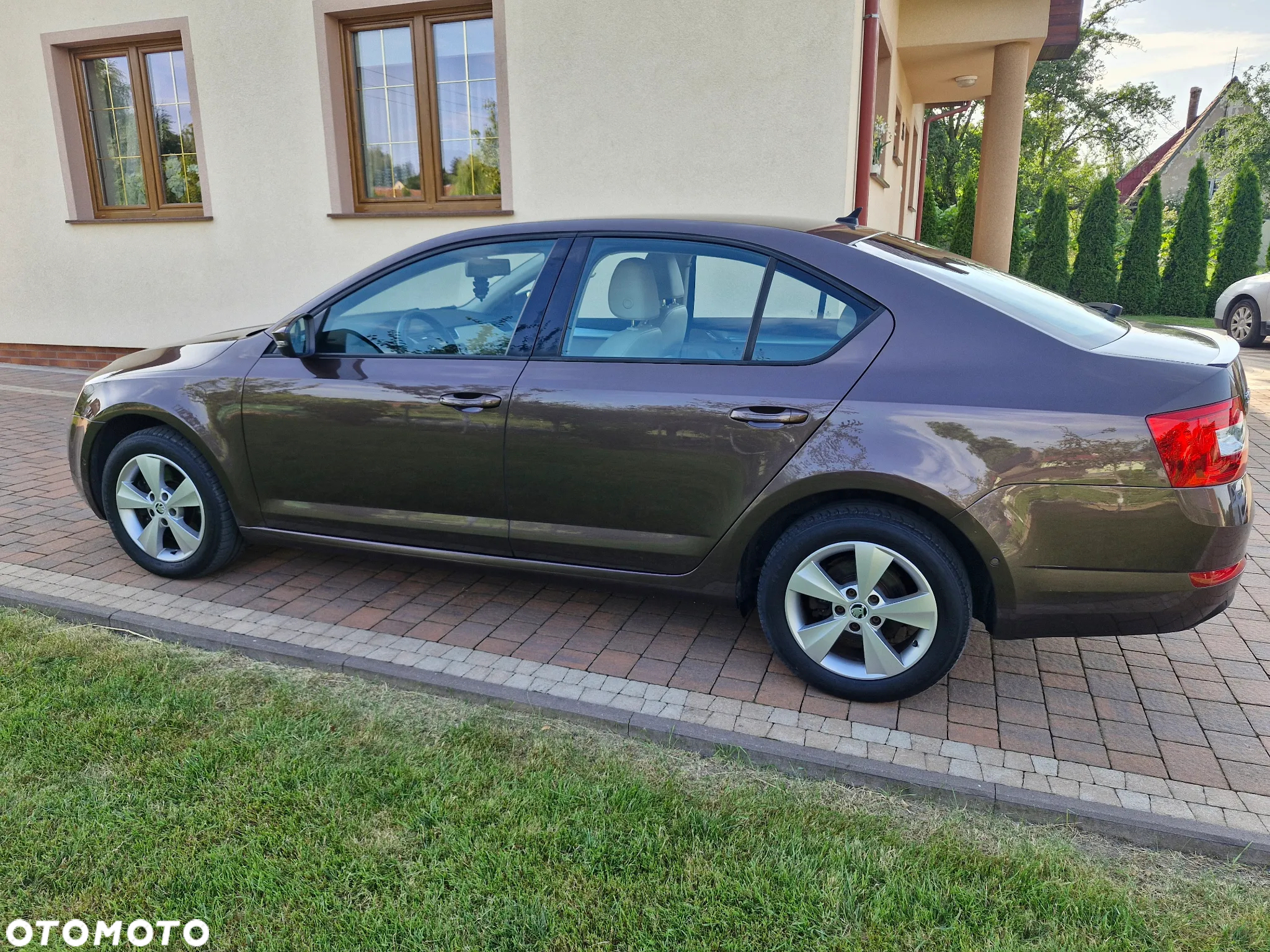 Skoda Octavia 1.8 TSI (Green tec) DSG Style - 10