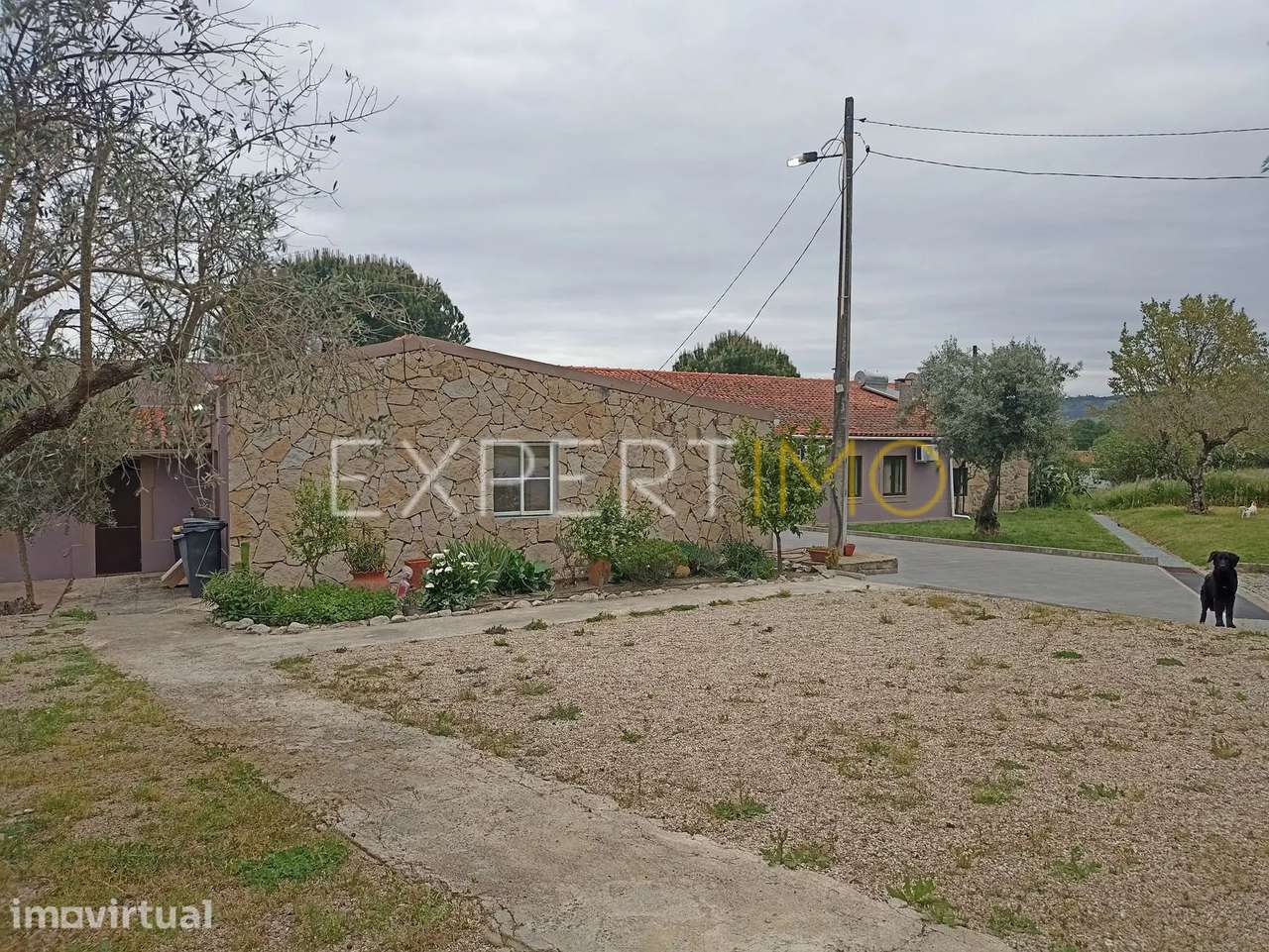 Moradia inserida em quinta rural, licenciada para turismo e... - Grande imagem: 4/52