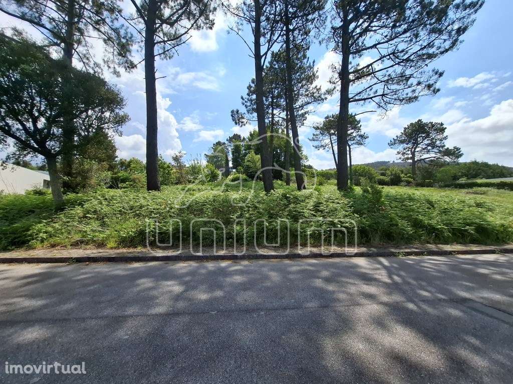 Lote para construção - Loteamento em Stº Antão - Grande imagem: 3/3