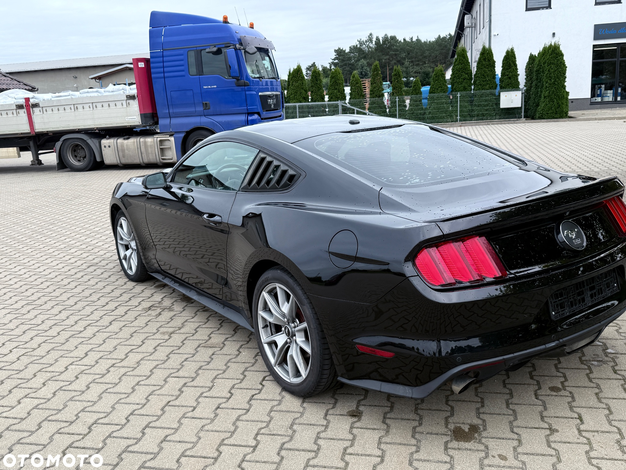 Ford Mustang 2.3 EcoBoost - 15