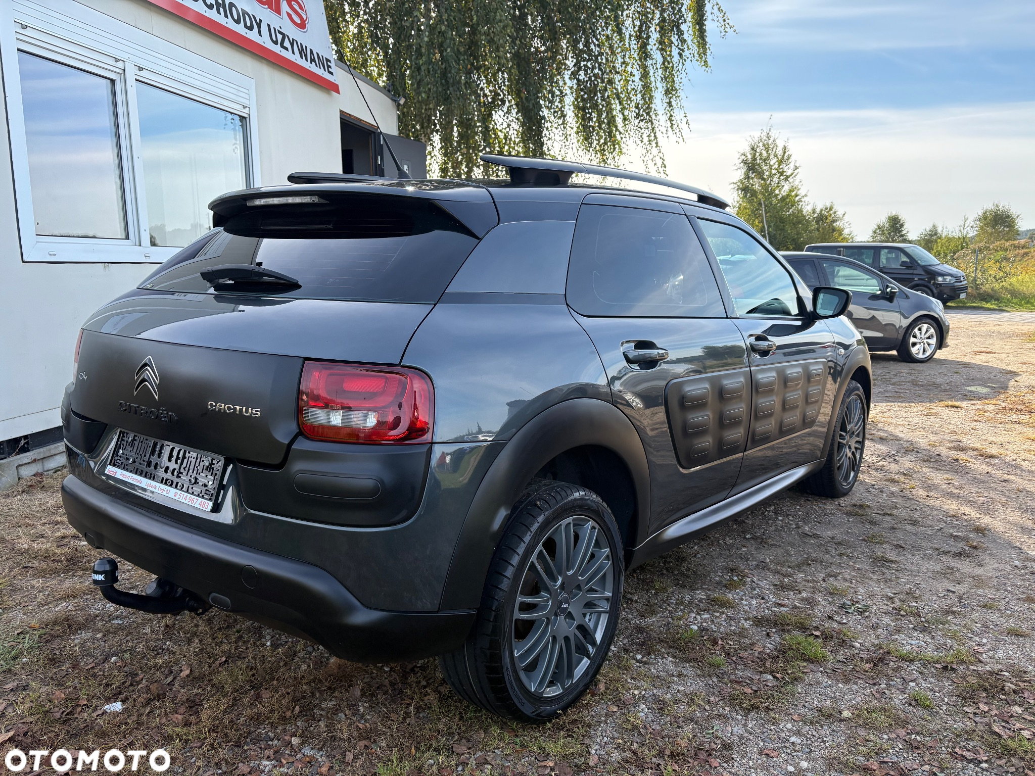 Citroën C4 Cactus 1.6 e-HDi Shine ETG - 20