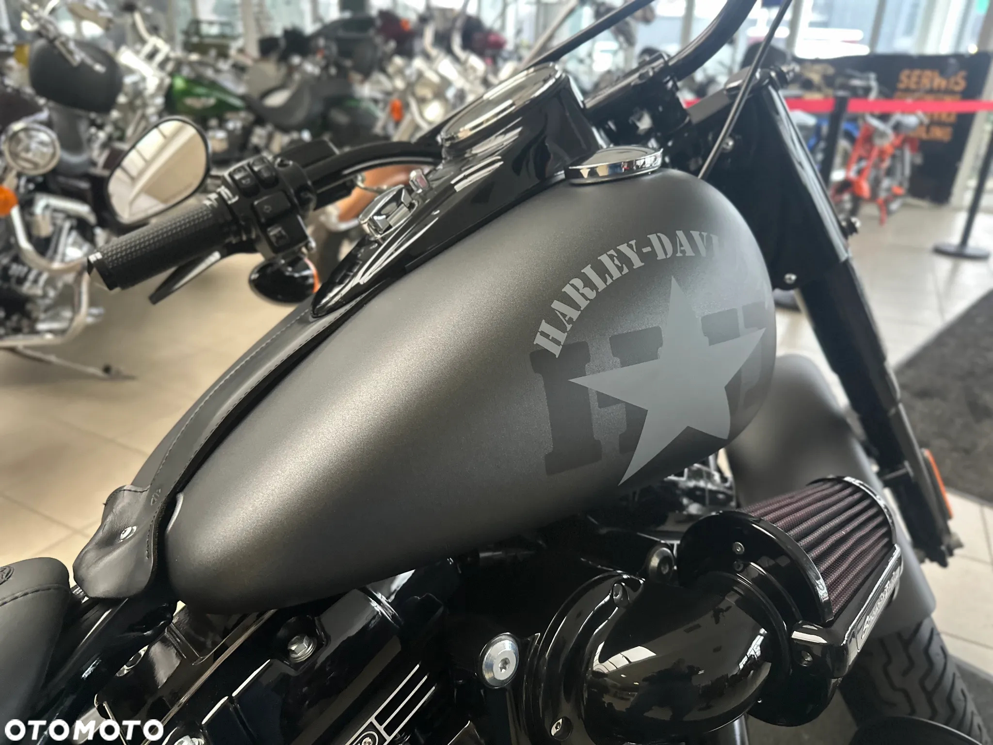 Harley-Davidson Softail Slim - 20
