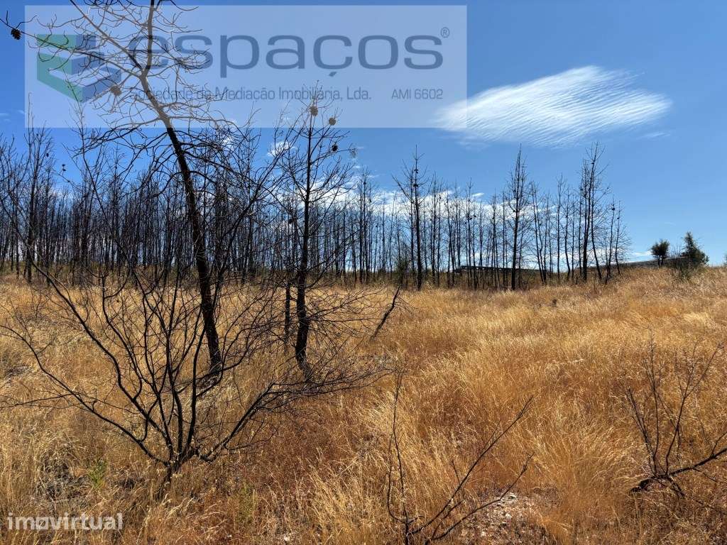 Terrenos - Grande imagem: 5/21