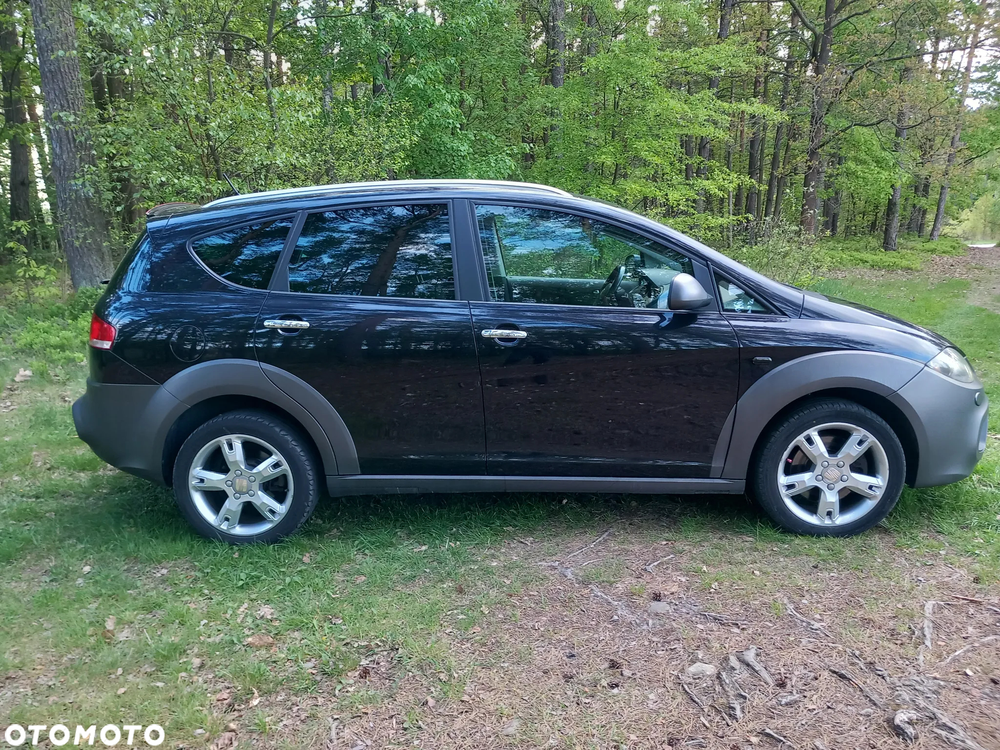 Seat Altea 2.0 T FSI 4x4 Freetrack - 9