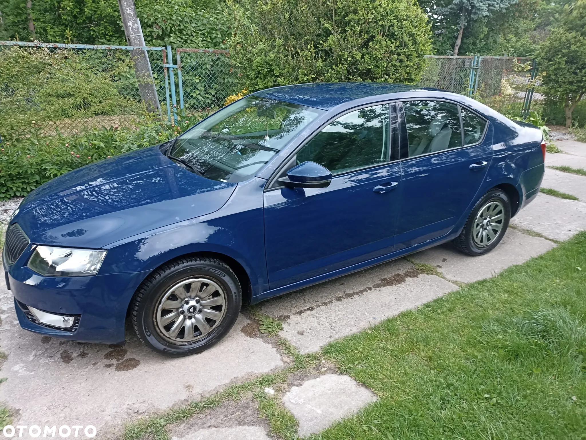 Skoda Octavia - 2