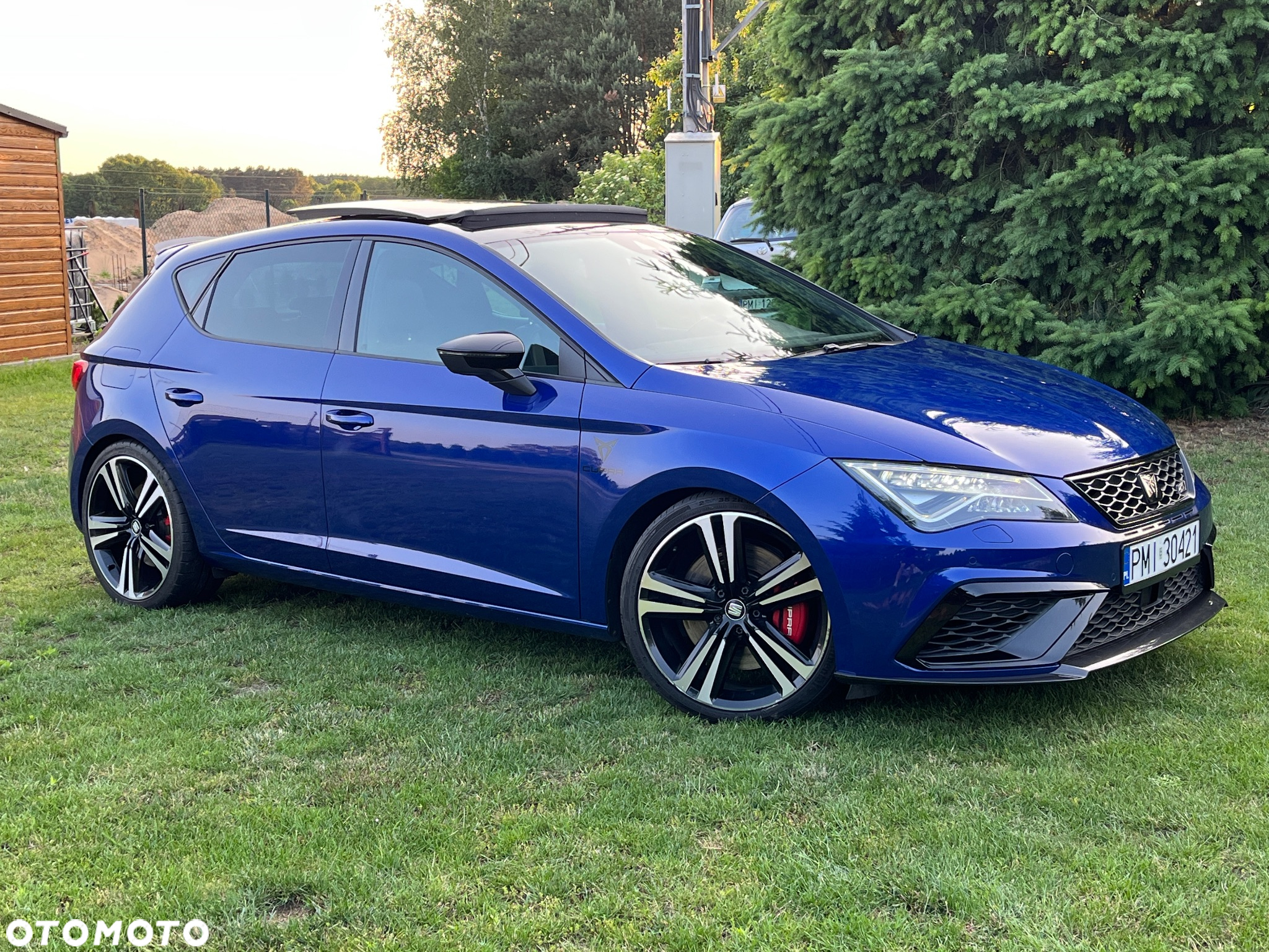 Seat Leon 2.0 TSI Cupra S&S DSG - 14
