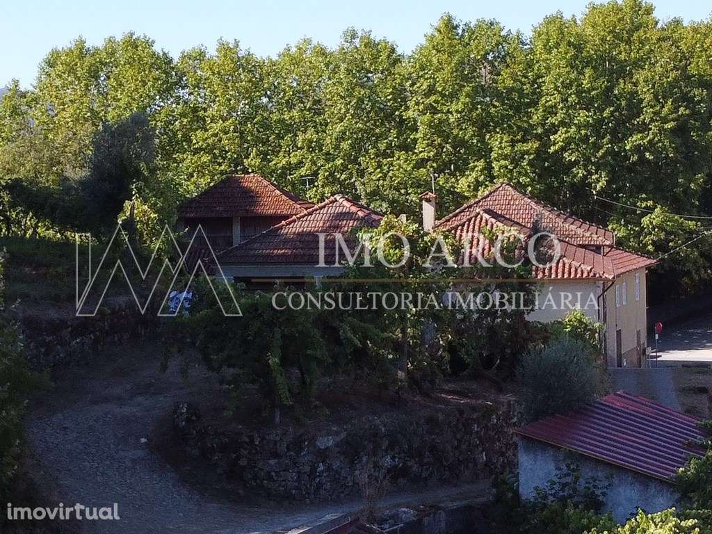 Quintinha com Moradia T4, nova BAIXA DE PREÇO! - Grande imagem: 3/5