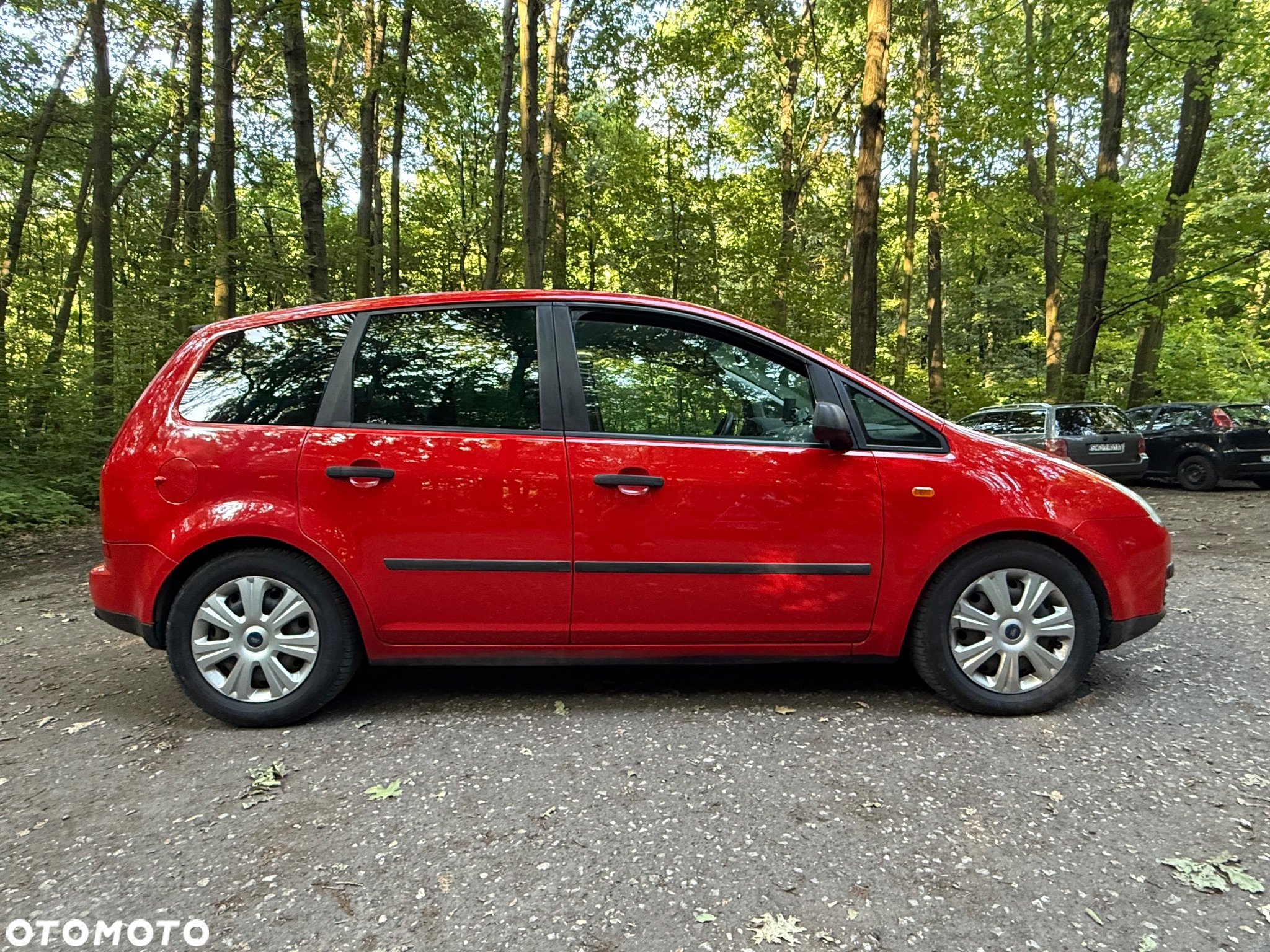 Ford C-MAX - 6