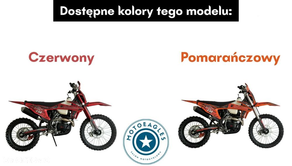 Diabolini X8 250 CC - 13