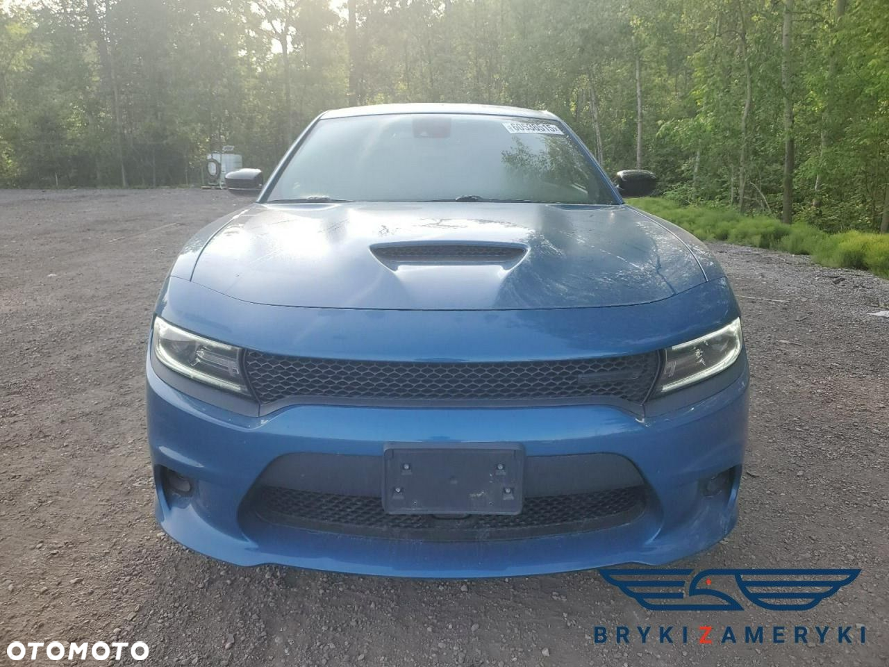 Dodge Charger - 7