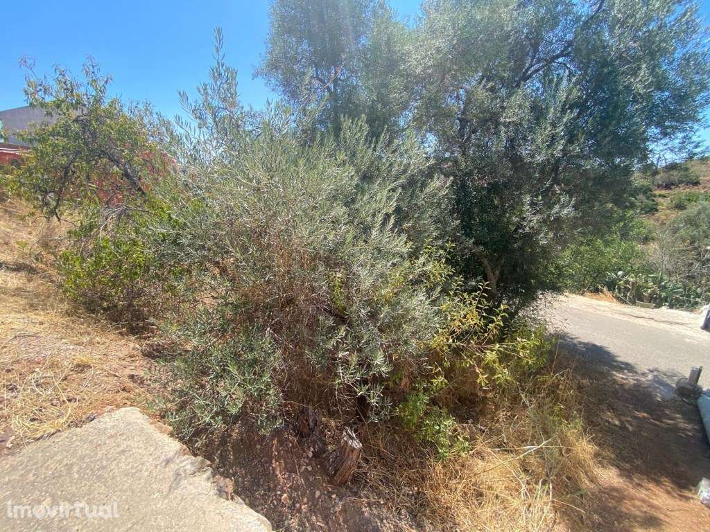 Lote de terreno em Alte, Loulé, Algarve - Grande imagem: 3/16