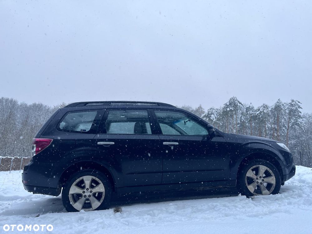 Subaru Forester - 7