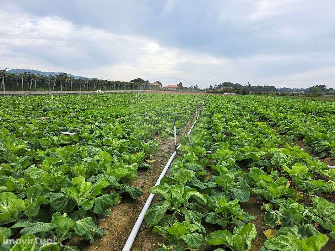 Terreno  para venda - Grande imagem: 2/3