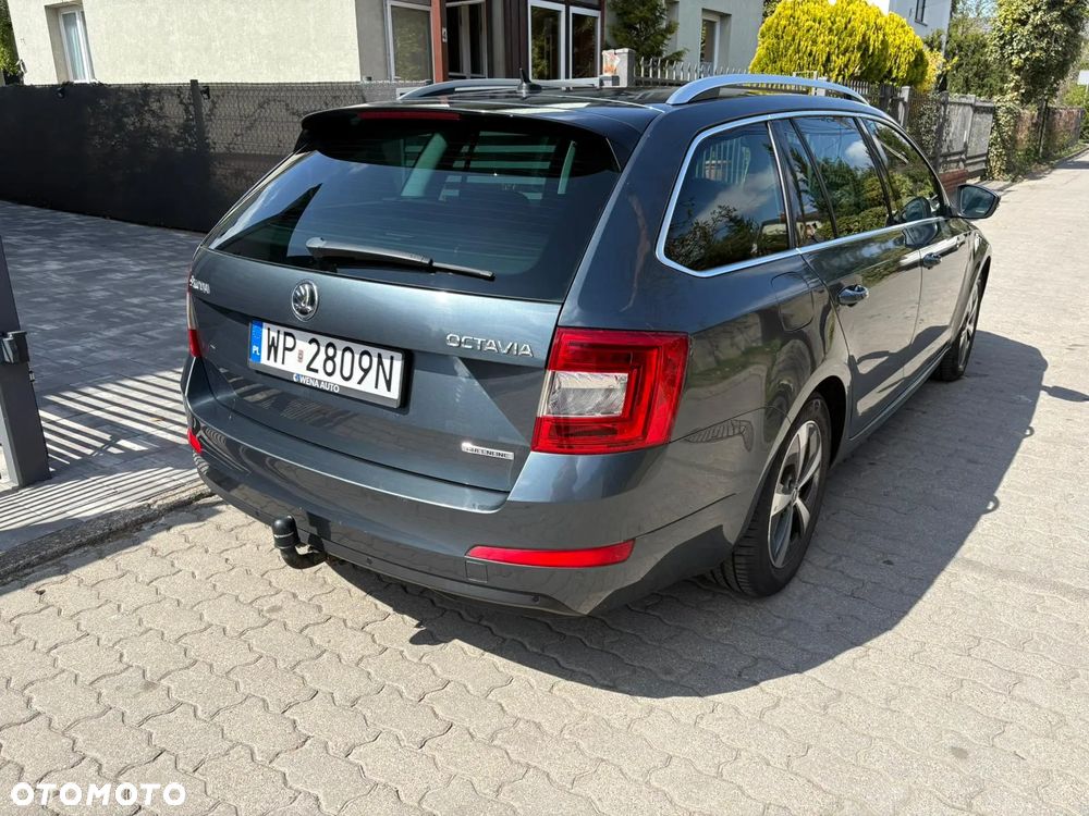 Skoda Octavia 1.6 TDI Greenline EU6 - 6