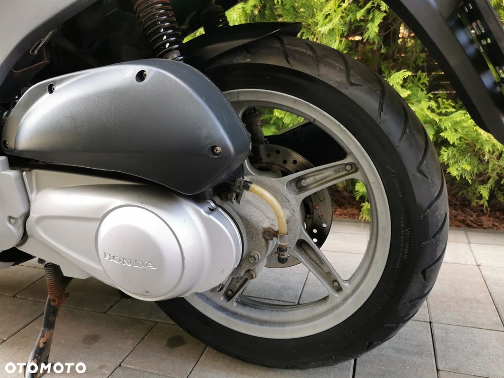 Honda SH - 19