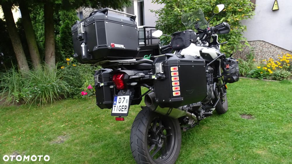 Triumph Tiger - 9