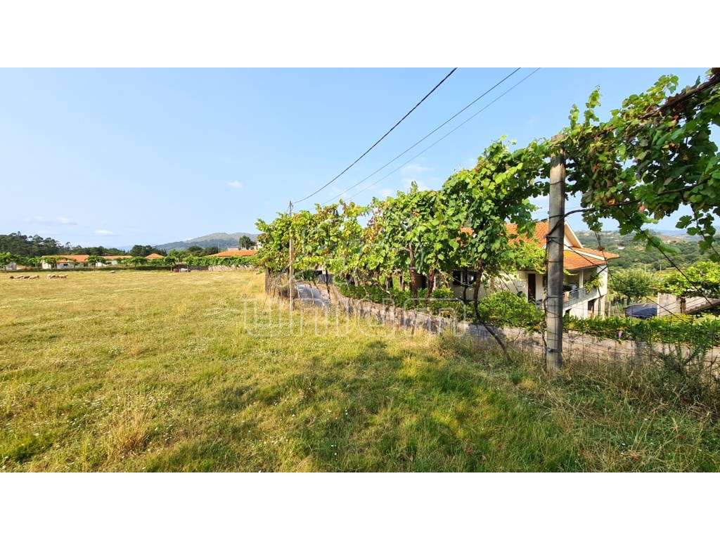 Terreno em Vade - Vila Verde - Grande imagem: 3/15