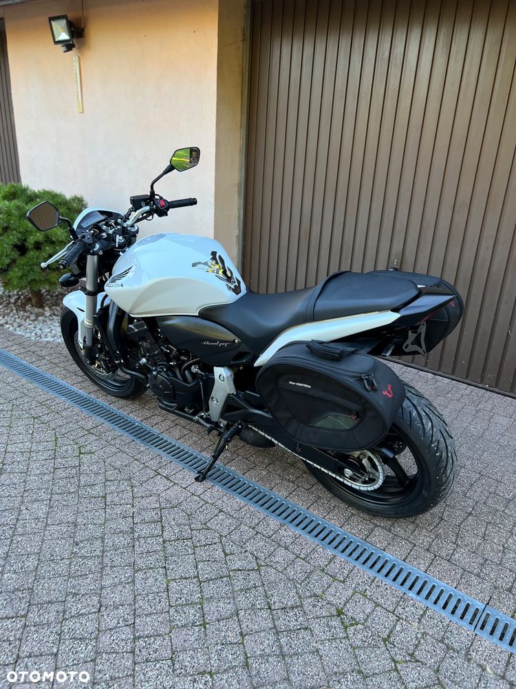 Honda Hornet - 18