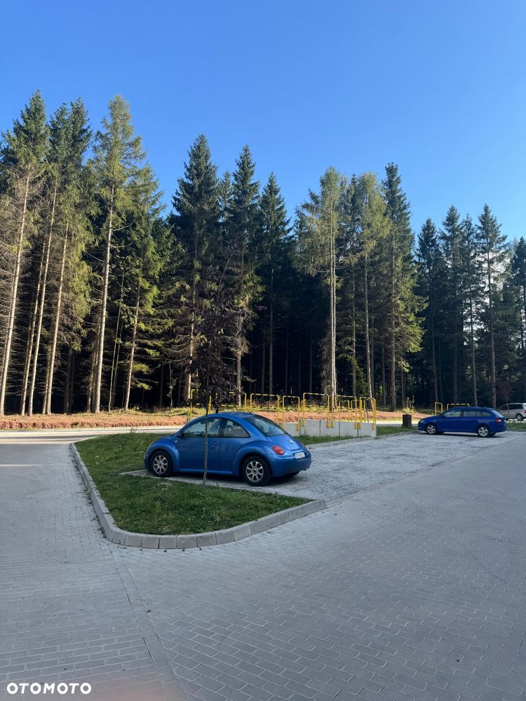 Volkswagen New Beetle - 19