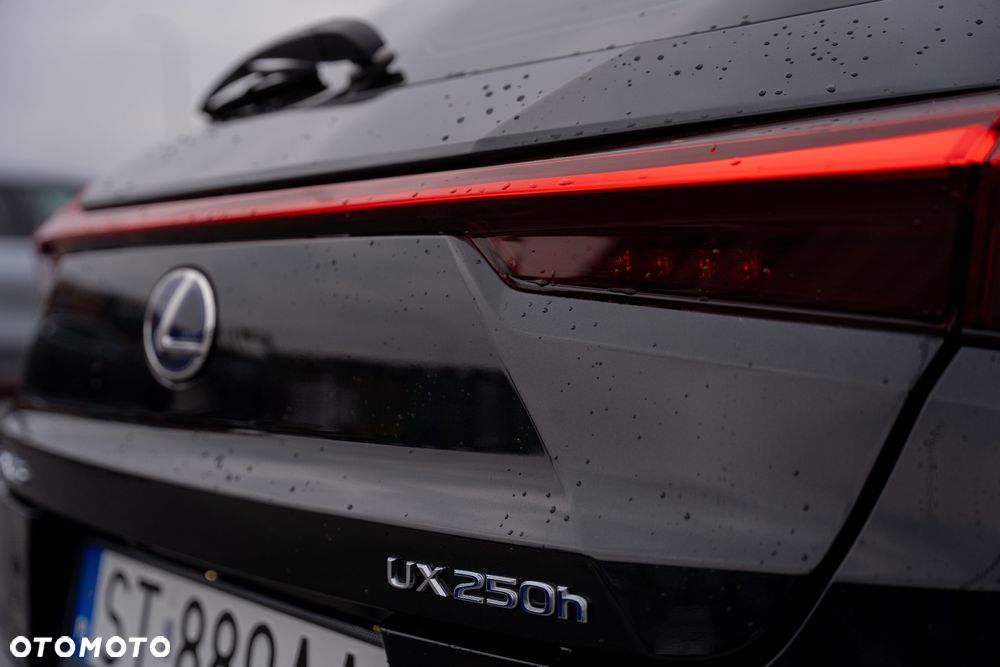 Lexus UX 250h Elegance 2WD - 12
