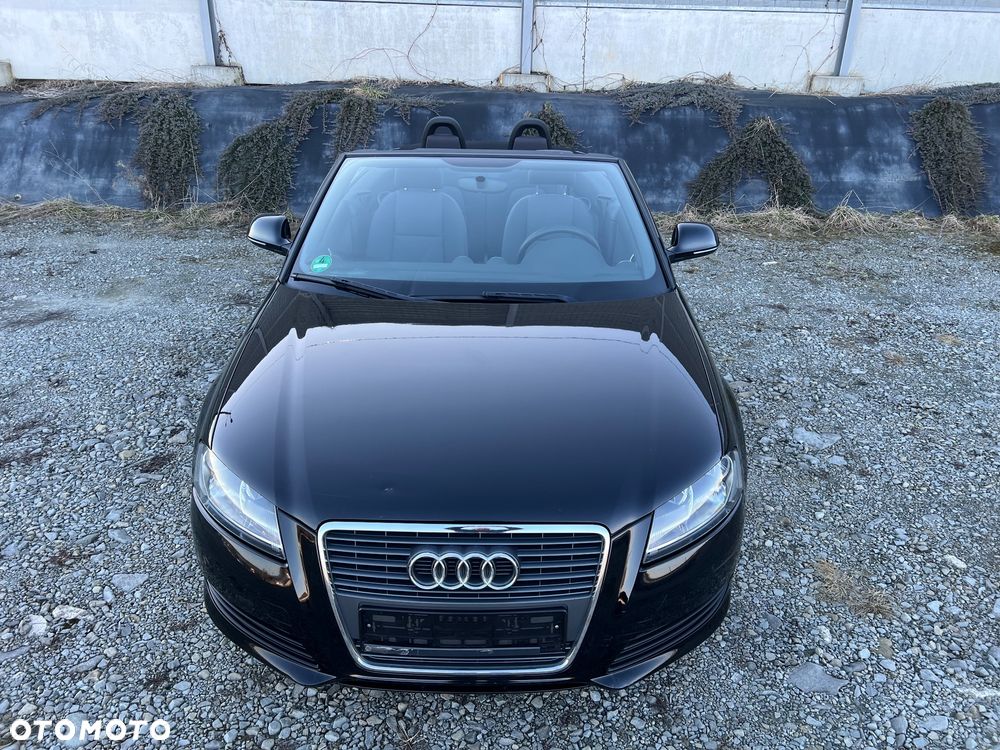 Audi A3 Cabrio 1.6 Attraction - 11