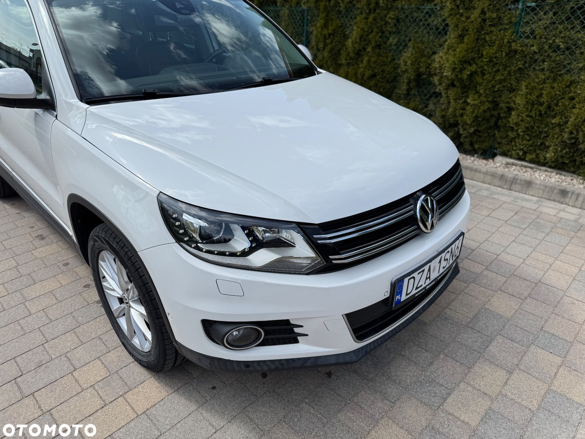 Volkswagen Tiguan - 24