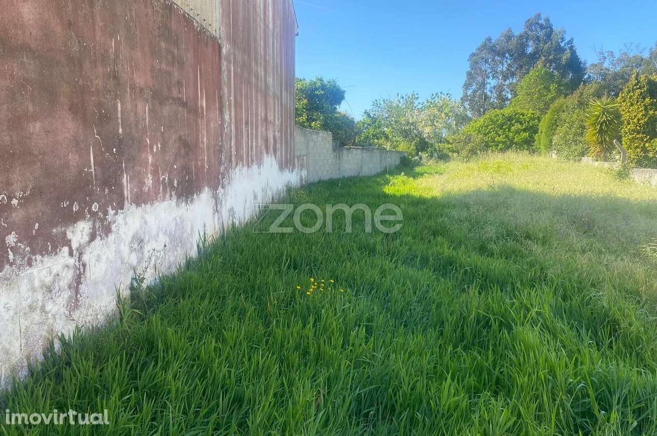 Terreno na palhaça - Grande imagem: 5/9