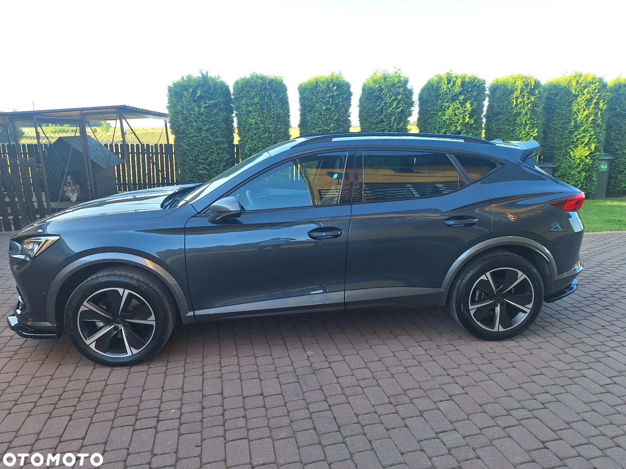 Cupra Formentor 2.0 TSI 4Drive DSG - 6