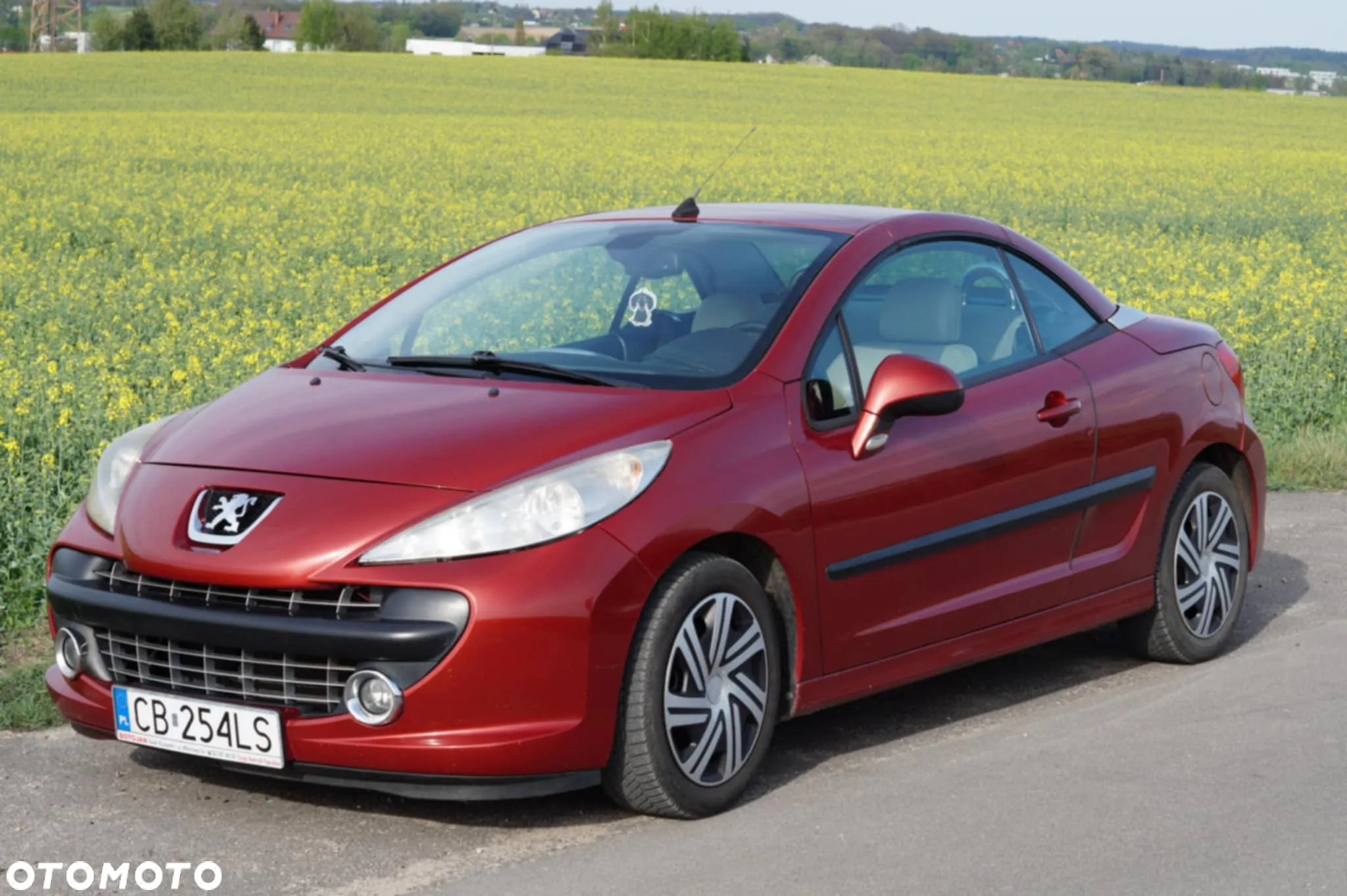 Peugeot 207 CC - 2