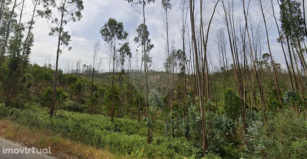 Terreno  para venda - Grande imagem: 3/12