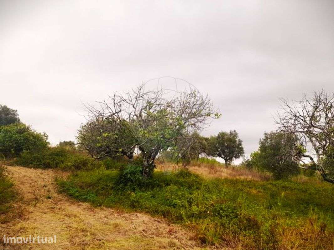 Terreno  para venda - Grande imagem: 2/4