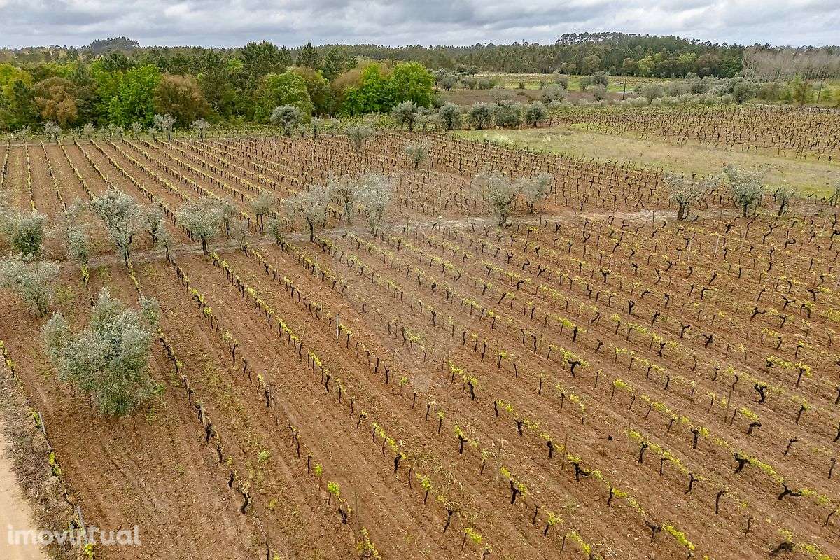 Terreno  para venda - Grande imagem: 4/16