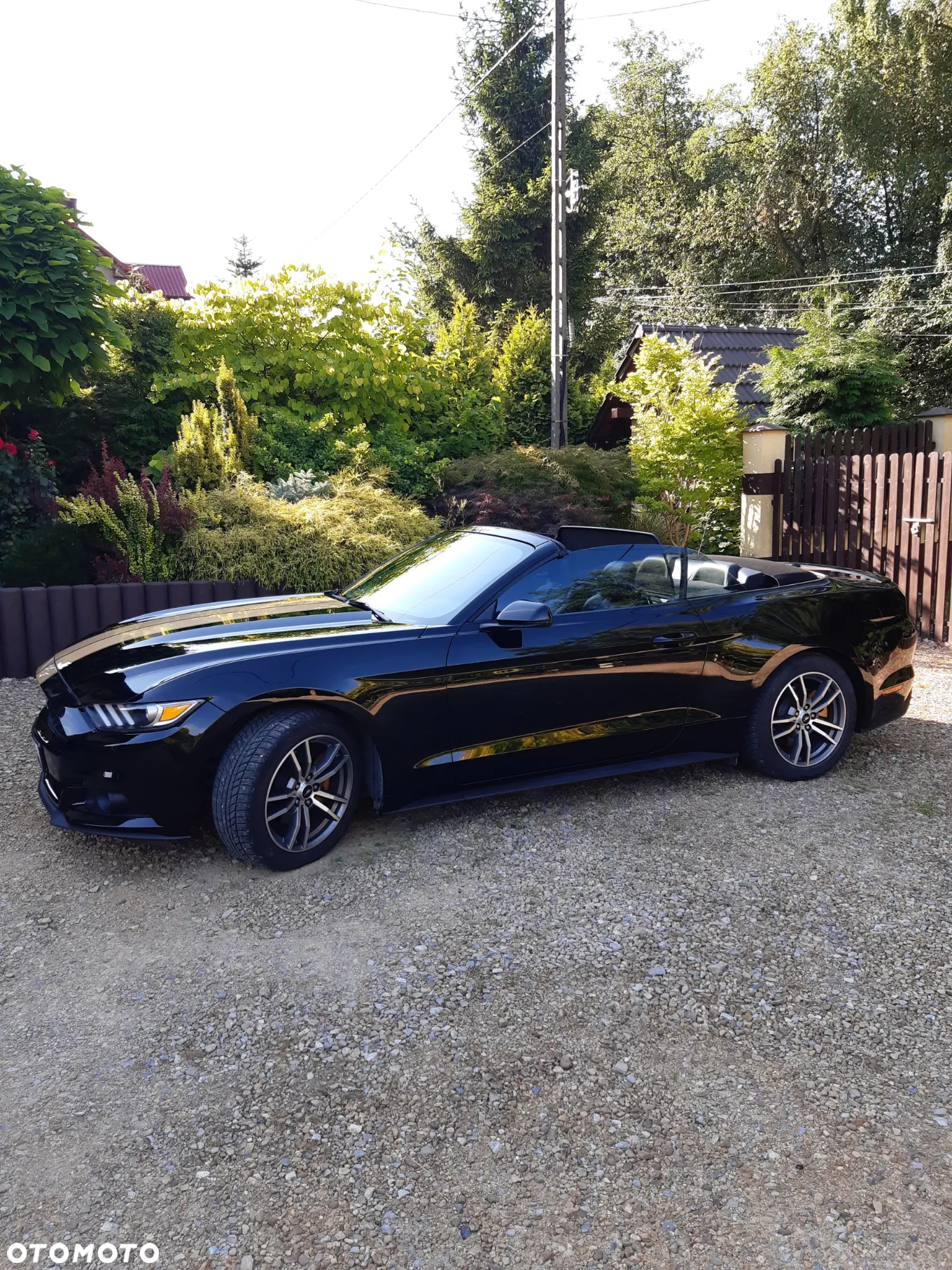 Ford Mustang Cabrio 2.3 Eco Boost - 4